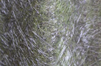 Hirn fibreglass roof work